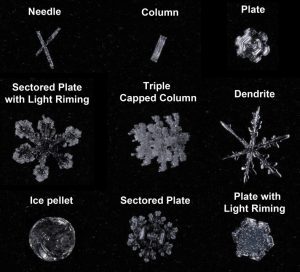 snow flakes